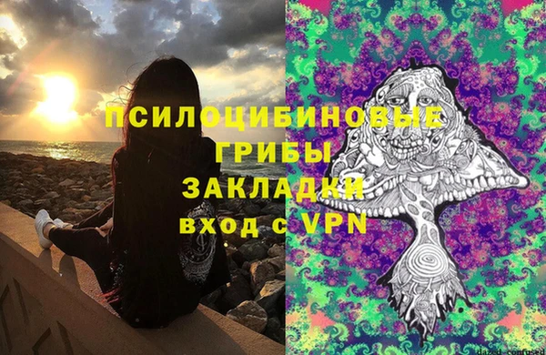 трава Абаза