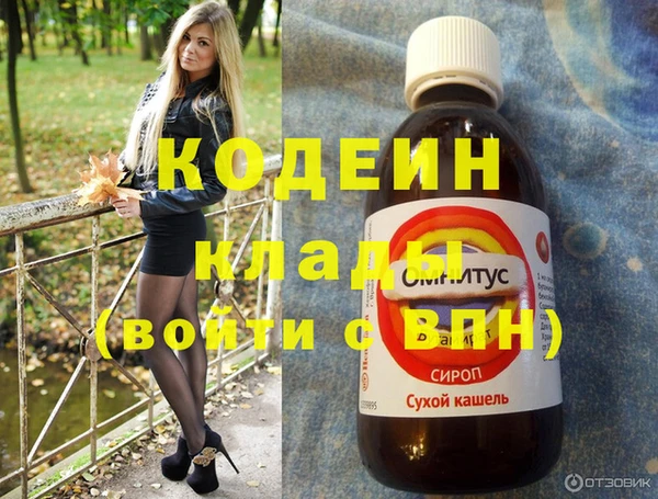 хмурый Каменка