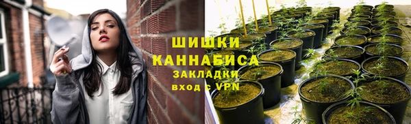 трава Абаза